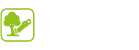 Emergency Tree Removal